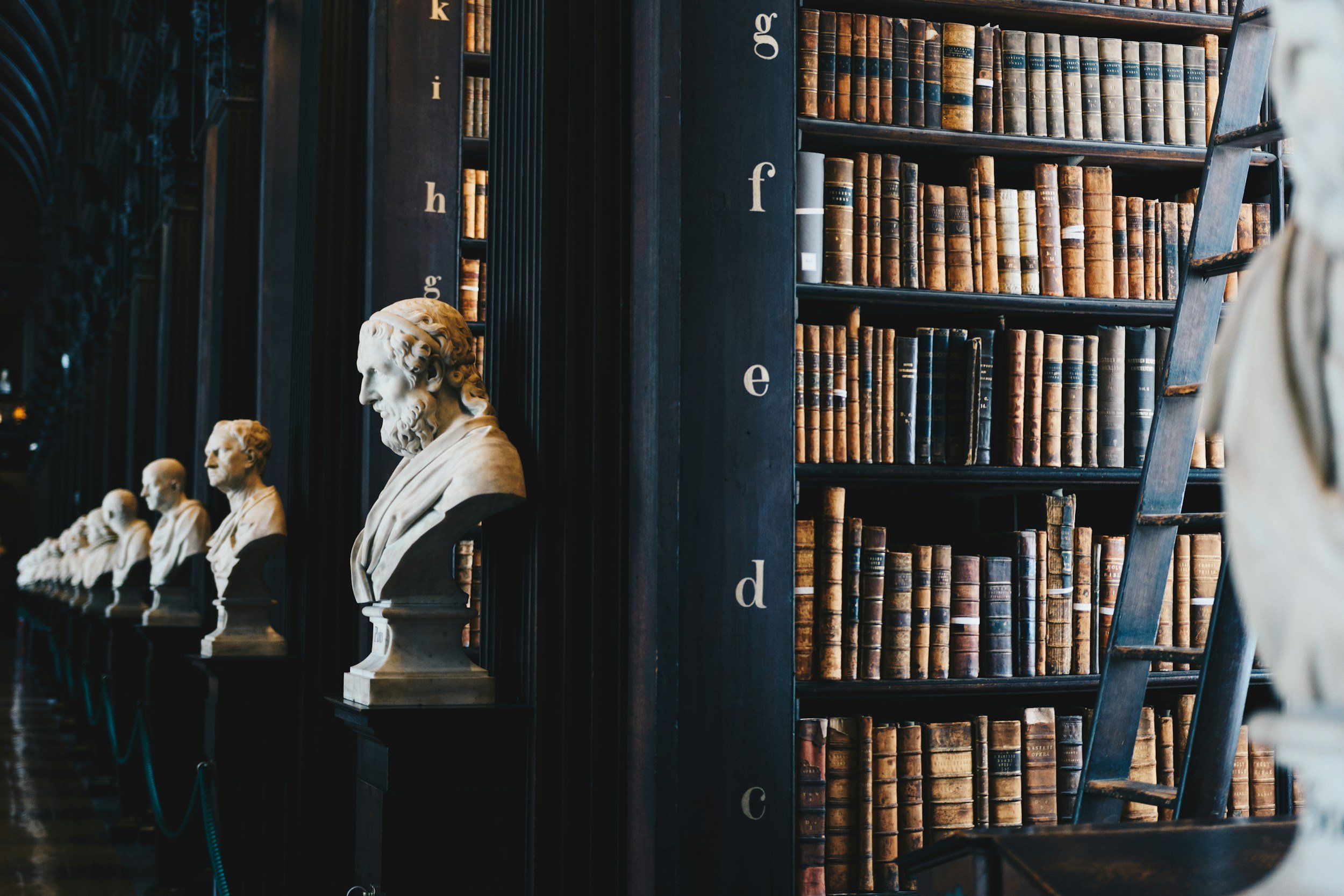 A row of classical bust sculptures on pedestals next to tall wooden bookshelves filled with old, leather-bound books in a library or museum.